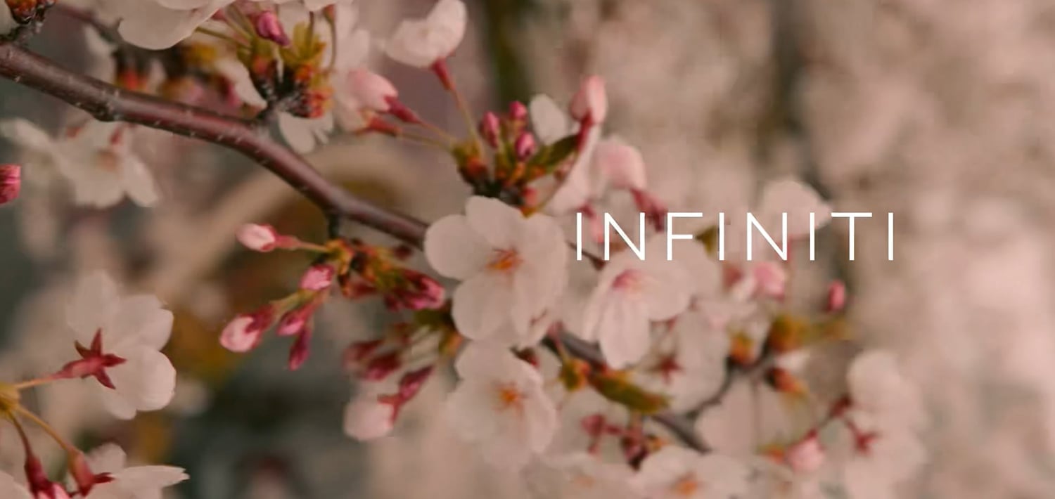Spring Opportunity